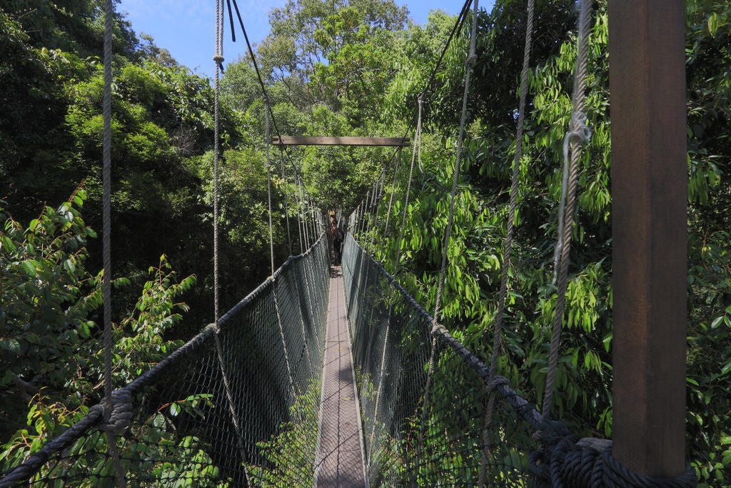 מלון קואלה טהאן Mutiara Taman Negara מראה חיצוני תמונה