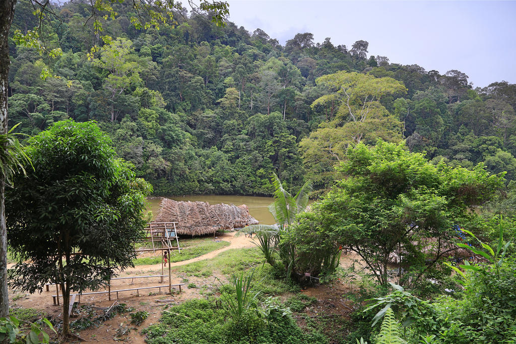 מלון קואלה טהאן Mutiara Taman Negara מראה חיצוני תמונה
